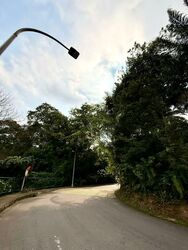 Cluny Park (D10), Detached #563355881